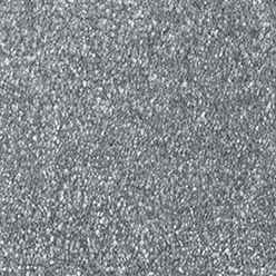 PRINCETON JUNIOR ACTIONBAC PLATINUM Image