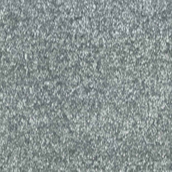 RICHMOND PARK 425 IRON Image