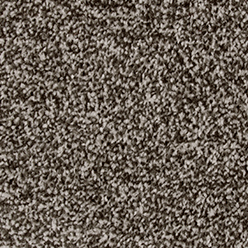 VENUS SILVER ACTIONBAC GREY Image