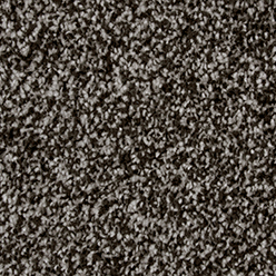 VENUS SILVER ACTIONBAC GALENA Image