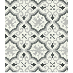 RAPIDO EVORA 594 Image