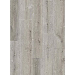 GO SPC COASTAL LIGHT GREY Image