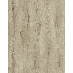 GO SPC COASTAL SAND Image