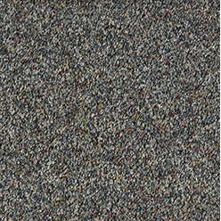 STAINFREE WILD SILK BELGRAVIA Image