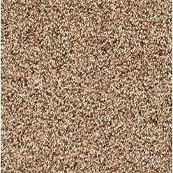 STAINFREE WILD SILK CINNAMON Image