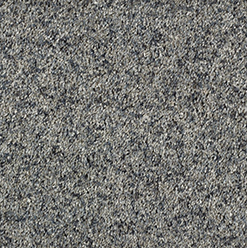 STAINFREE WILD SILK SILVER SPOON Image