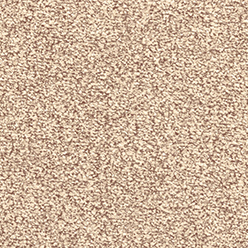 HAMPSHIRE SAXONY (UNITY) 206 ACTIONBAC Image