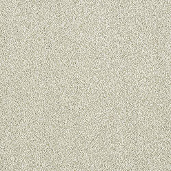 STAINFREE ARISTOCAT 51 ARCTIC FOX Image