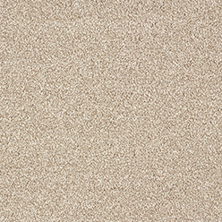 STAINFREE INDULGENCE 02 NUTMEG Image