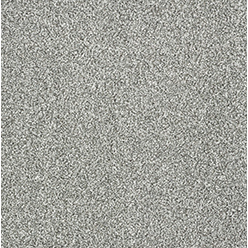 STAINFREE INDULGENCE 06 SILVER DOLLAR Image