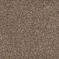 SALCOMBE 830 BROWN Image
