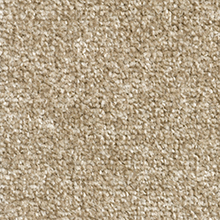 LYON 73 ACTIONBAC Image