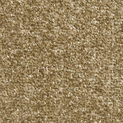 LYON 91 ACTIONBAC Image