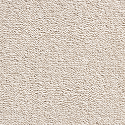 REVOLUTION SUPREME 70 BISCUIT Image