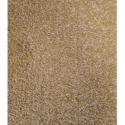 FASCINATION 370 GOLD Image