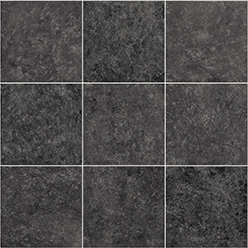 GRAMPIAN VINYL FIONA 099D Image