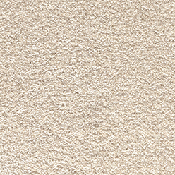 SOFT NOBLE 670 ZIGGY SB Image