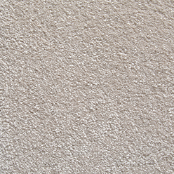 MOLTO BELLA 69993 STUPENDO Image