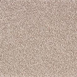 SYMPHONY ACTION BACK 63 Image