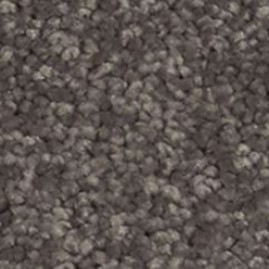 SHEER INDULGENCE 876 Image