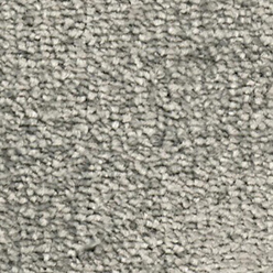 NEPTUNE 155 GRIFFIN Image