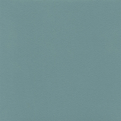 SAFETRED SERENITY 26772 012 WOODLAND WALK Image