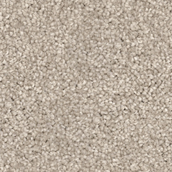 SANDBANK SAXONY 766 Image