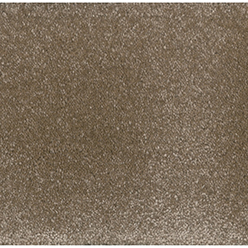 MONTEGO BAY CORAL REEF Image