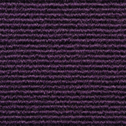 BROADRIB PURPLE Image