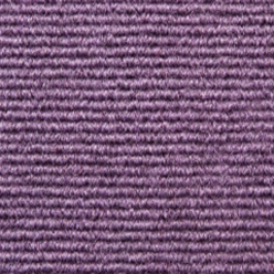 BROADRIB VIOLET Image