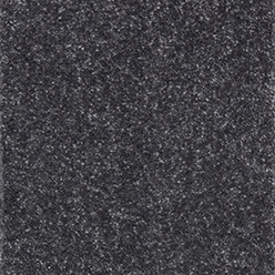 ALDER (BETAP) 76 Image