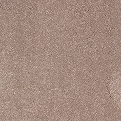 ALDER (BETAP) 91 Image