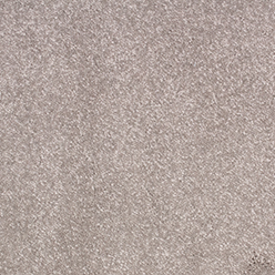 ALDER (BETAP) 67 Image