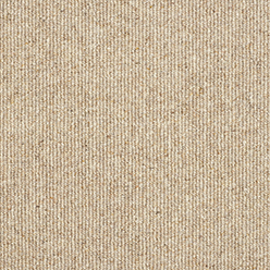 ROYAL SOVEREIGN 05 BISCOTTI Image