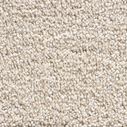 PHOENIX (CONDOR) 170 Image