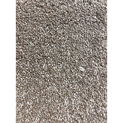 PHOENIX (CONDOR) 172 Image