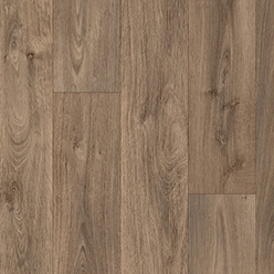 GLOBE VINYL AMAZON (LIMOUX 546) Image