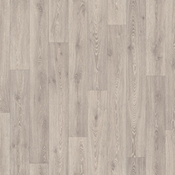 NATIONAL PARKS NEW FOREST (CARPATHIANS 581) Image