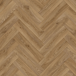 NATIONAL PARKS SNOWDONIA (GIULIANO 555) Image