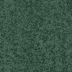 MODA COLORATA VERIDIAN 1868 Image