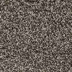 NEW JERSEY SAXONY 1303 SIERRA GREY Image