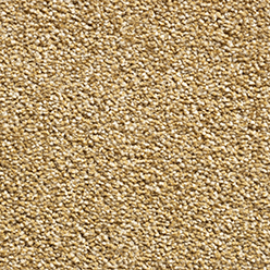 Castille Super - 50 Harvest