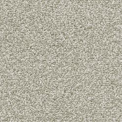 INVICTUS DARIUS 20 FERN Image