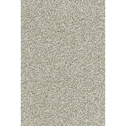 INVICTUS CASSIUS 20 FERN Image