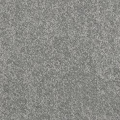 DAINTREE QUEENSLAND Image