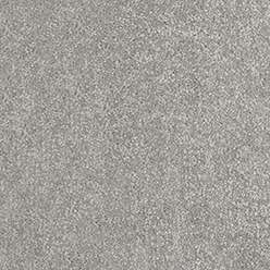 DAINTREE PORT DOUGLAS Image