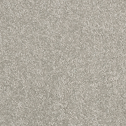 DAINTREE MYALL BEACH Image