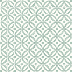 ASPIRE EMILIA 523 Image