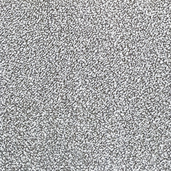 CHEPSTOW 556 TROUT Image