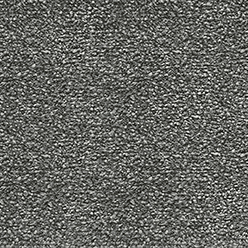 CHEPSTOW 559 ELEPHANT Image